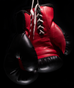 Boxing Gloves New Arrival